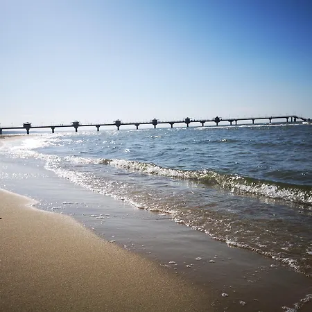 金郁金香扎科帕公寓酒店