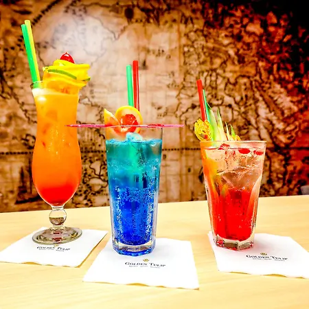 金郁金香扎科帕公寓酒店 米兹多洛杰