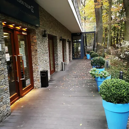 金郁金香扎科帕公寓酒店 公寓式酒店 4*