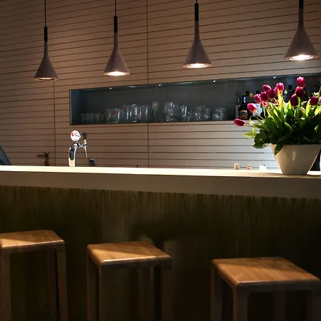 公寓式酒店 金郁金香扎科帕公寓酒店 米兹多洛杰