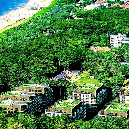 Golden Tulip