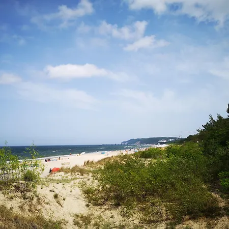 Golden Tulip 4*