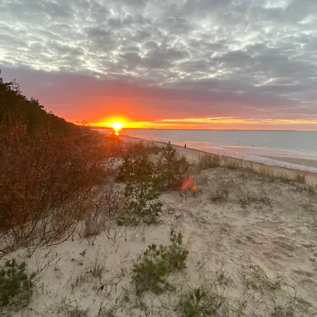 公寓式酒店 金郁金香扎科帕公寓酒店 米兹多洛杰