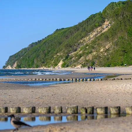 Golden Tulip מידזיזדרויה