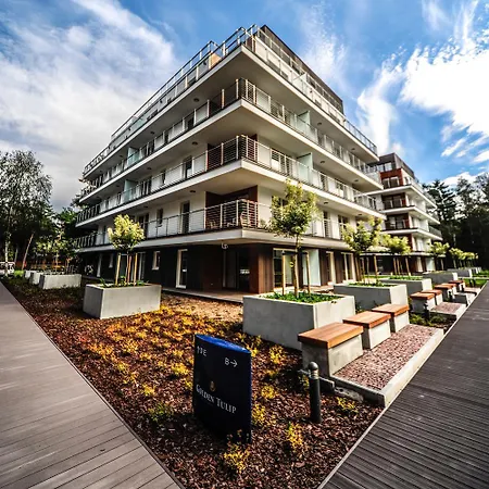 Golden Tulip 4* מידזיזדרויה