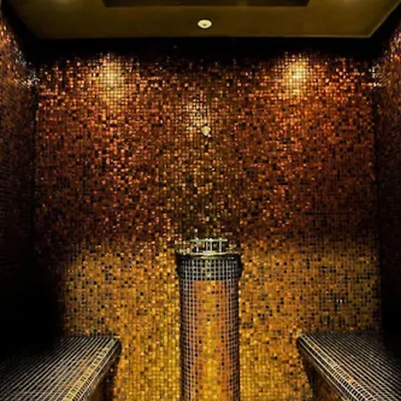 公寓式酒店 金郁金香扎科帕公寓酒店 米兹多洛杰