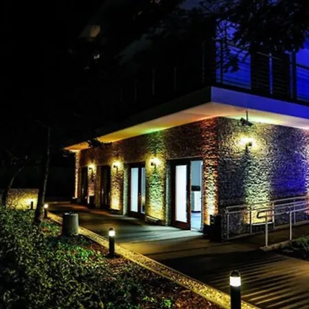 Golden Tulip