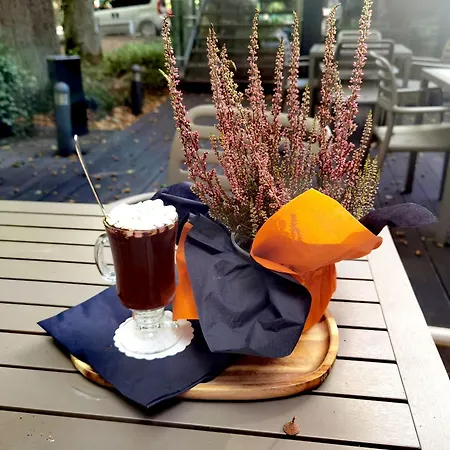 公寓式酒店 金郁金香扎科帕公寓酒店 4*