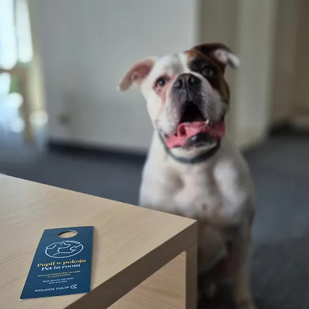 Golden Tulip מלון דירות מידזיזדרויה