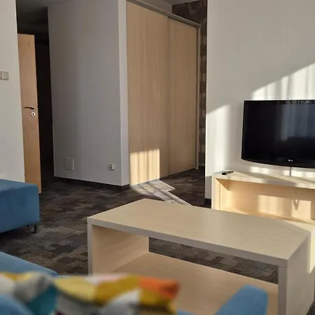 金郁金香扎科帕公寓酒店