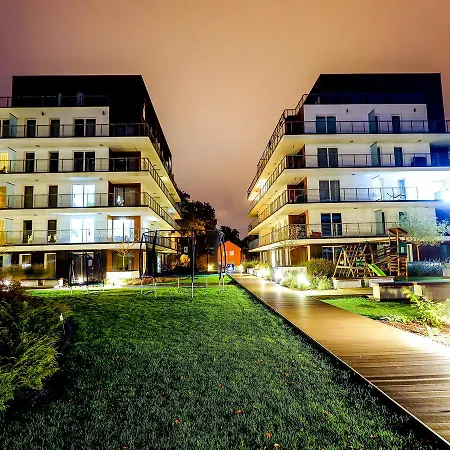 Golden Tulip